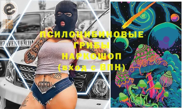 твердый Алексеевка