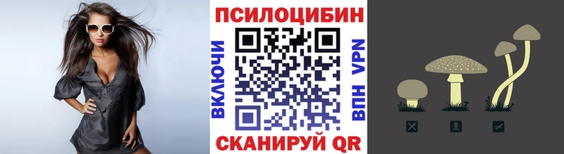 Псилоцибиновые грибы Psilocybine cubensis  кракен сайт  Бодайбо 